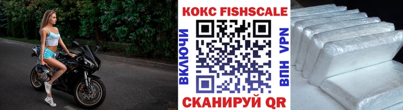 Кокаин Fish Scale Шадринск