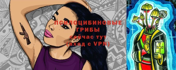 прущая мука Бородино