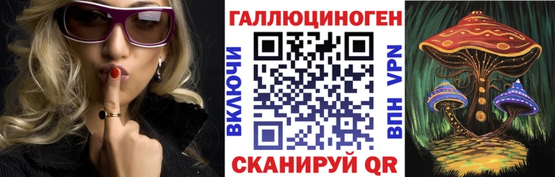 Псилоцибиновые грибы Psilocybe  Шадринск 